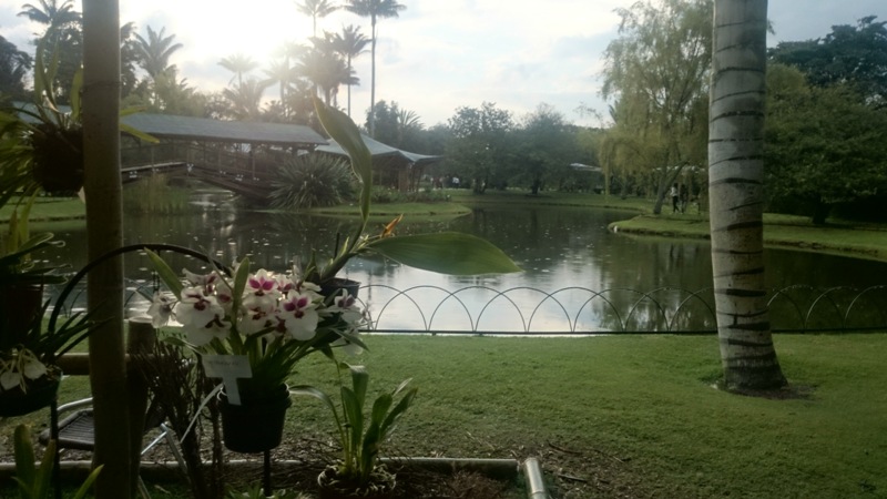 Foto de jardin botanico